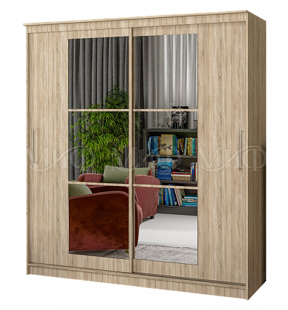 Шкаф-купе "Элегант-3" 1700 (м)