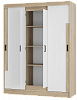 Шкаф-купе "Смарт" ШКК-06